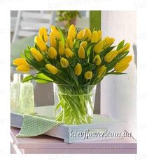 51 yellow tulips